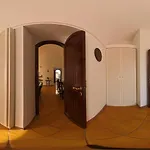 Suspiratella Mia *